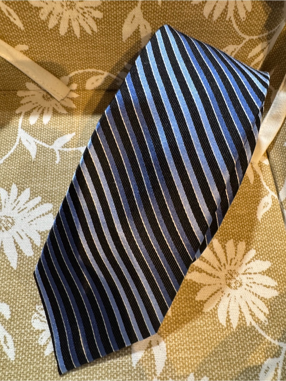 Striped Blue and Black Men's Silk Tie